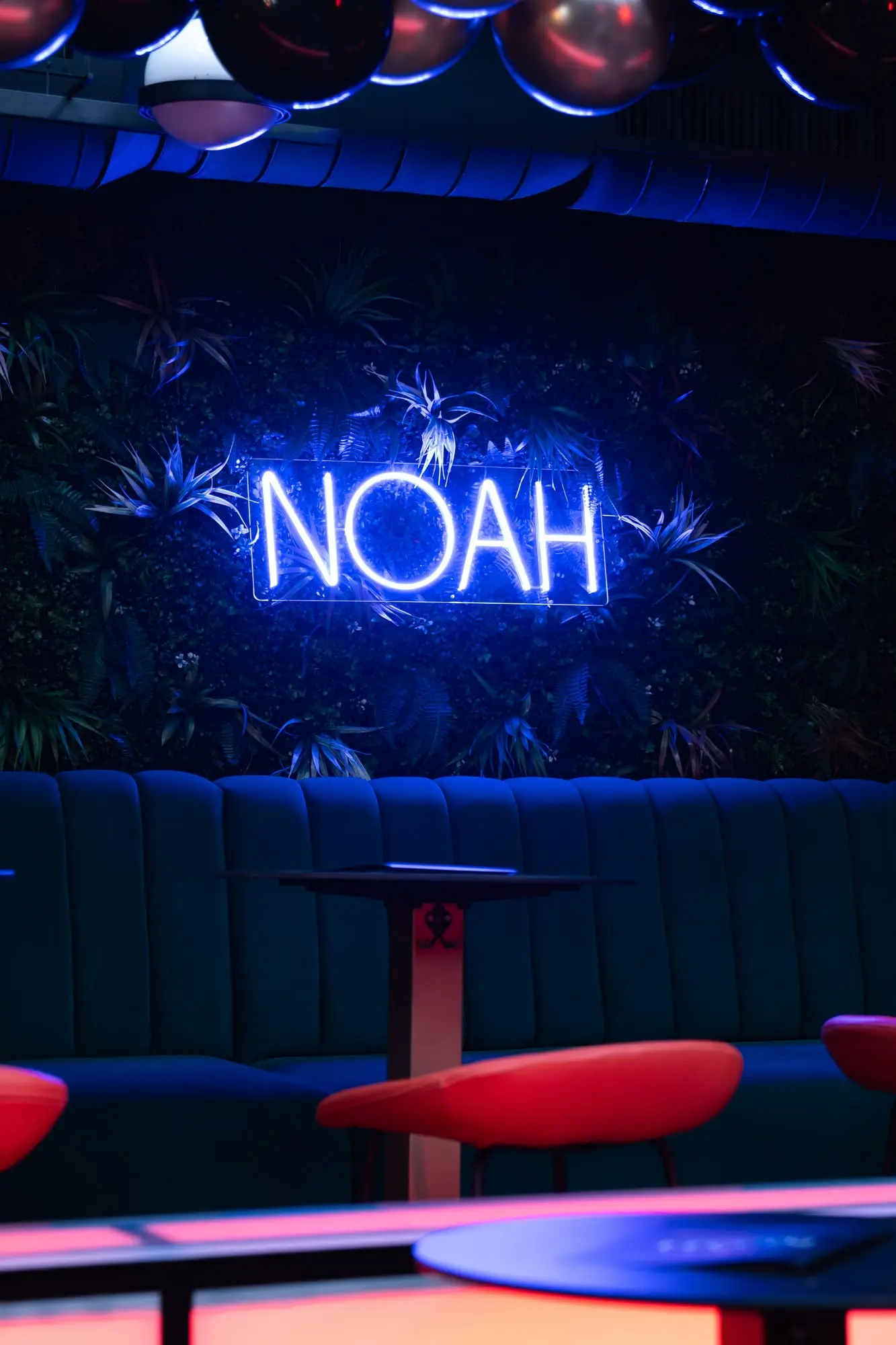 Noah Lounge: neon